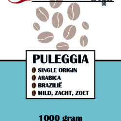 Puleggia